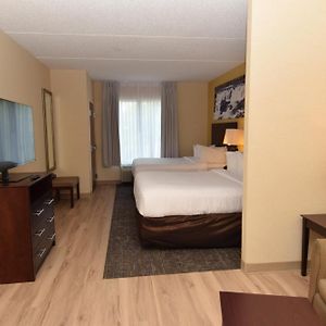 Queen Suite